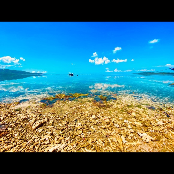 Meet your Posher, Keri - Picture 3 of 3